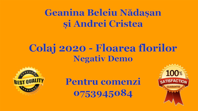 Geanina Beleiu Nadasan si Andrei Cristea – Colaj 2020 – Floarea florilor (Karaoke/Instrumental/Negativ)
